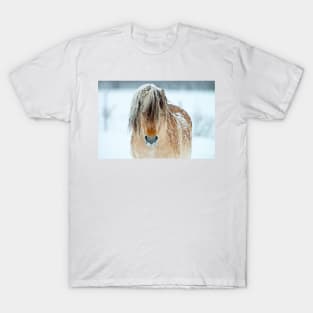 Shaggy Horse In Winter T-Shirt